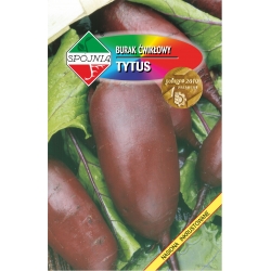 Burak-Tytus---22-g