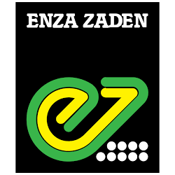 ENZA ZADEN