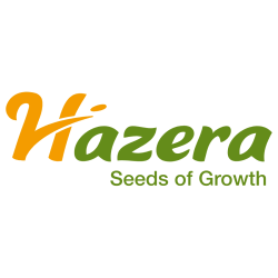 HAZERA