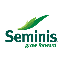 SEMINIS