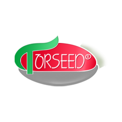 TORSEED