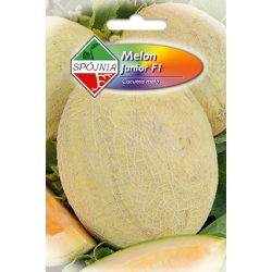 Melon-Junior-1-g
