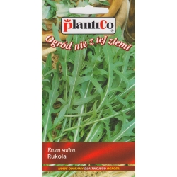 Rukola---0,5-g--ST/Pl