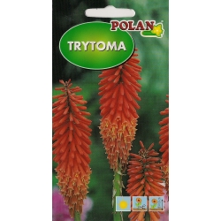 Trytoma-groniasta-0.2g-ST/Pl