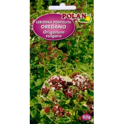 Oregano-lebiodka-pospolita---0,2-g